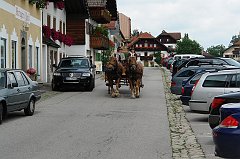 DSC08752