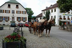DSC08759