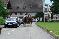 DSC08789