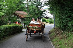 IMG_9331