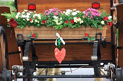 IMG_9451