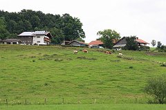IMG_9482