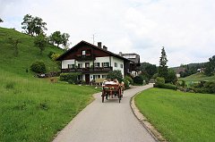 IMG_9487