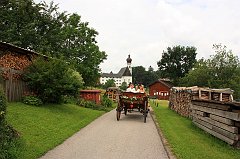 IMG_9503