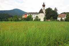 IMG_9532
