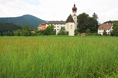 IMG_9533