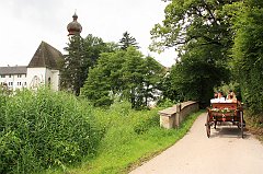 IMG_9544