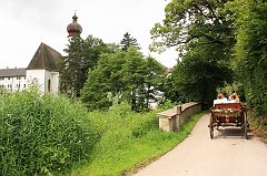 IMG_9545