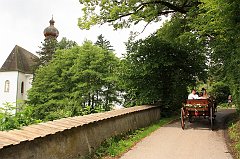 IMG_9546