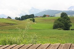 IMG_9550