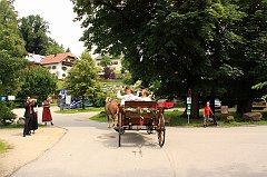 IMG_9565