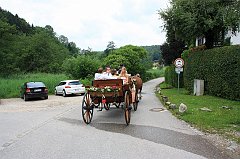 IMG_9591
